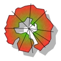 plant shadows on landscape design software in UT