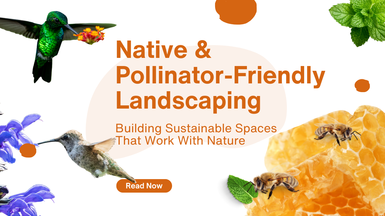 Native & Pollinator-Friendly Landscaping: Building Sustainable Spaces That Work With Nature