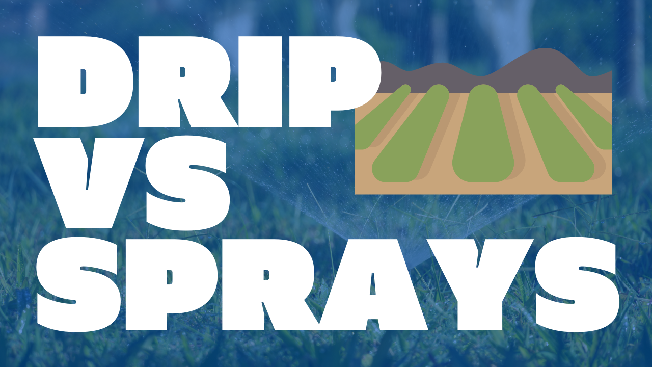 Drip vs. Sprinkler Irrigation: Which Is Best for Your Landscape Design?