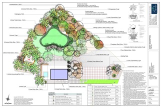 Tree and shrub placement plan created in Pro Contractor Studio